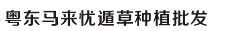 忧盾草，忧顿草